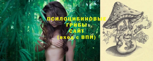 ПСИЛОЦИБИНОВЫЕ ГРИБЫ Алексеевка