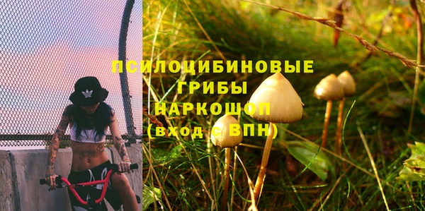 СК Арсеньев